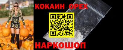 шишки Заволжье