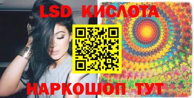 шишки Заволжье