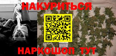 шишки Заволжье