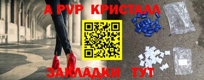 шишки Заволжье