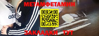 шишки Заволжье