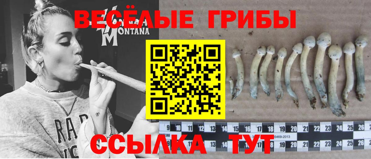 Лабинск  Псилоцибиновые грибы ЛСД  Вход с VPN 